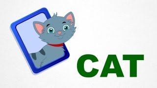 Cat  Pre School  Learn English Words Spelling Video For Kids and Toddlers [upl. by Warila]