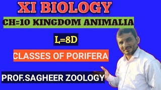 Classes of Porifera Lec8D XI BIOLOGY profsagheer sagheer Zoology [upl. by Kerekes554]