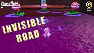 Wooded Kingdom Invisible Road  Super Mario Odyssey [upl. by Amathist]