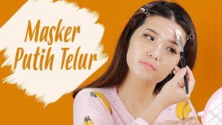 Cara Menghilangkan Jerawat dan Komedo dengan Masker Putih Telur [upl. by Airahs]