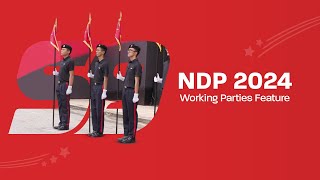 NDP 2024  Working Parties Feature [upl. by Aiblis]