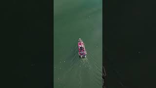 Barsch Attacken via Drone Shot attack barsch dji fishing [upl. by Kasey]