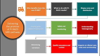 Pathway Impacts of MRI  delivering the benefits [upl. by Hayyifas]