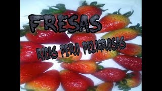 CÓMO LAVAR DESINFECTAR Y CONSERVAR LAS FRESAS Mantener las fresas frescas por mucho tiempo [upl. by Akeryt790]