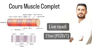 Cours complet Muscle 2 bac Live naaadi [upl. by Aklog]