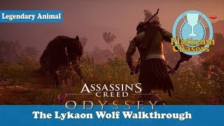 The Lykaon Wolf  Side Quest  Legendary Animal  Assassins Creed Odyssey [upl. by Elagibba956]