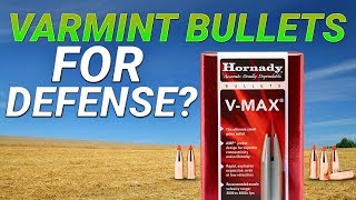 Varmint Bullets For Defense 300AAC 110gr VMax gel test [upl. by Annahs]