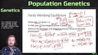 Population Genetics and Hardy Weinberg Example Calculations [upl. by Yellah]