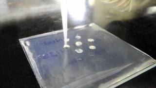 Ouchterlony Double Diffusion for Antibody Titration  Amrita University [upl. by Naitsyrk]