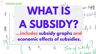 What is a SUBSIDY Subsidies EXPLAINED [upl. by Ahiel]