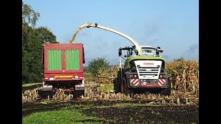 Maishäckseln 2k17 mit Claas Jaguar 940 John Deere 7230 JD 6150 New Holland T7230 [upl. by Alistair]