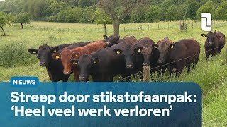 Stikstofaanpak van tafel verbaasde reacties op het kabinet  L1 Nieuws [upl. by Dupre]