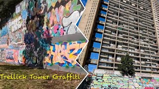 Trellick Tower London Graffiti Hall Of Fame Tour [upl. by Ehav]