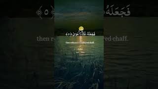 namazi i drekes namazi sabahut namazi i akshamit namaz ka tarika viralvideo islamicmusic [upl. by Zeuqcaj]