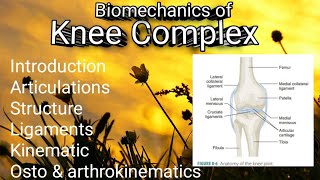 Biomechanics of knee complex details easy notes  physiotherapy BPT important topic 📝 [upl. by Ttirrej]