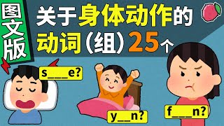 （图文版）身体动作的25个英语动词 词组（带中译英巩固练习） 美音 Vocabulary Building in English  English Words [upl. by Elram]