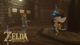 Legend of Zelda  BoTW Robbies Memoirs [upl. by Davis]