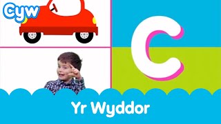 Cân Yr Wyddor 🍎  The Welsh Alphabet Song [upl. by Blancha976]