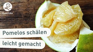 Lifehack Pomelos schälen aufschneiden und essen [upl. by Joyce]