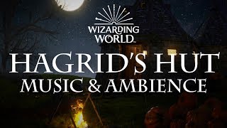 Harry Potter Music amp Ambience  Hagrids Hut [upl. by Claudelle307]