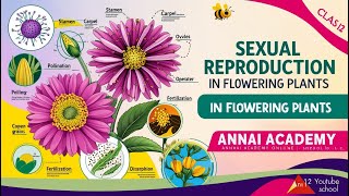 Unlocking Nature Sexual Reproduction in Flowering Plants Explained [upl. by Halian]