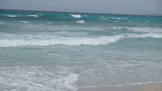 Formentera beach near Ibiza island [upl. by Weitzman]