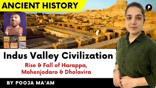 Indus Valley Civilization  Rise and Collapse OF Harappa  Mohenjodaro and Dholavira [upl. by Thurlow]