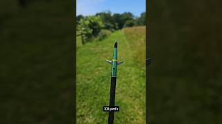 Swhacker Broadhead Test archery bowhunting hunting bowandarrow 3darchery deerhunting hunt [upl. by Kcirderfla827]