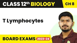 T Lymphocytes  Human Health and Disease  Class 12 Biology 202223 [upl. by Eyahsal]