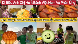 657 Người Anh Người Chị Dâu Như Cha Mẹ Wei Sen Chuyện Chưa Từng KểThe Mang Bánh Việt Nam Đi Biếu [upl. by Acina423]