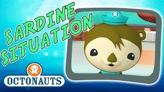 Octonauts  Sardine Situation  Tangled Up [upl. by Cecil931]