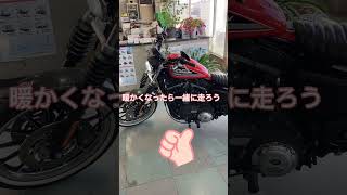 【ハーレー】友達のパパサン【883R】 スポーツスター ハーレーダビッドソン 883 パパサン バイク モトブログ RH975S xl883 xl1200 [upl. by Yalc48]