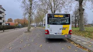 Reportage in Hulst busstation De Lijn Grensbus onbereikbaar met OV [upl. by Elijah979]