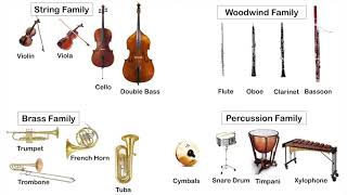 Instruments of the Orchestra  Listening Test [upl. by Eilahs]