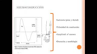 UT 13 y 14  electromiografia y electroneurografia Dra Conti [upl. by Martica]