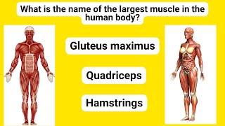 Human Body Quiz  Human Body Questions And Answers Trivia No 40 [upl. by Milan]