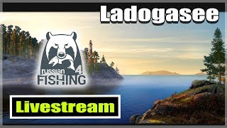 Russian Fishing 4 ★ Wir gehen auf Renken und Maränen am Ladoga See [upl. by Silsbye]