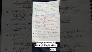 DNA 🧬 ReplicationBScNotes [upl. by Hanselka]