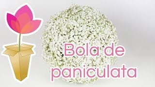 Cómo hacer una bola de paniculata [upl. by Bennet914]