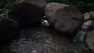 River sounds for sleeping Studying and relaxing the gentle river flows [upl. by Guzel]