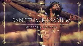 Santo Rosario Misterios Dolorosos en Latín  Sactum Rosatium Mysteria Doloris [upl. by Fink]