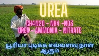 UREA FERTILIZER USE FOR PLANT NITRIFICATION HYDROLYSIS EXPLAINED NANO UREA [upl. by Nolyag]