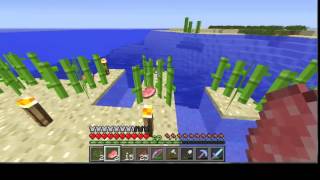 ITEM DUPLICATION GLITCH Singleplayer amp Multiplayer ALL Minecraft 19 [upl. by Anivlek]