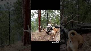 Best pickups of the year The quality of antler has been good so far shedhunting hiking outdoors [upl. by Salinas]