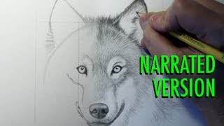 How to Draw a Wolf Narrated [upl. by Cindi445]