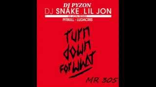 DJ SNAKE ft LIL JON amp PITBULL amp LUDACRIS quot Turn Down For What quot  dj pyzon remix [upl. by Froemming]