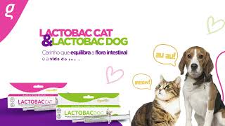 Lactobac Cat e Dog  Organnact [upl. by Klute]