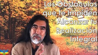 Como lograr el exito en la vida  Como superar los Obstáculos Hacia Tu Realización Integral [upl. by Gavette]