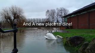 Pershore Floods 3rd January 2024 [upl. by Eneladgam]