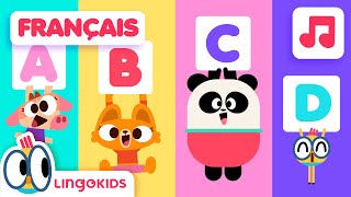 Chanson de LALPHABET 🔤 Chansons pour Enfants  Lingokids en français [upl. by Richarda]